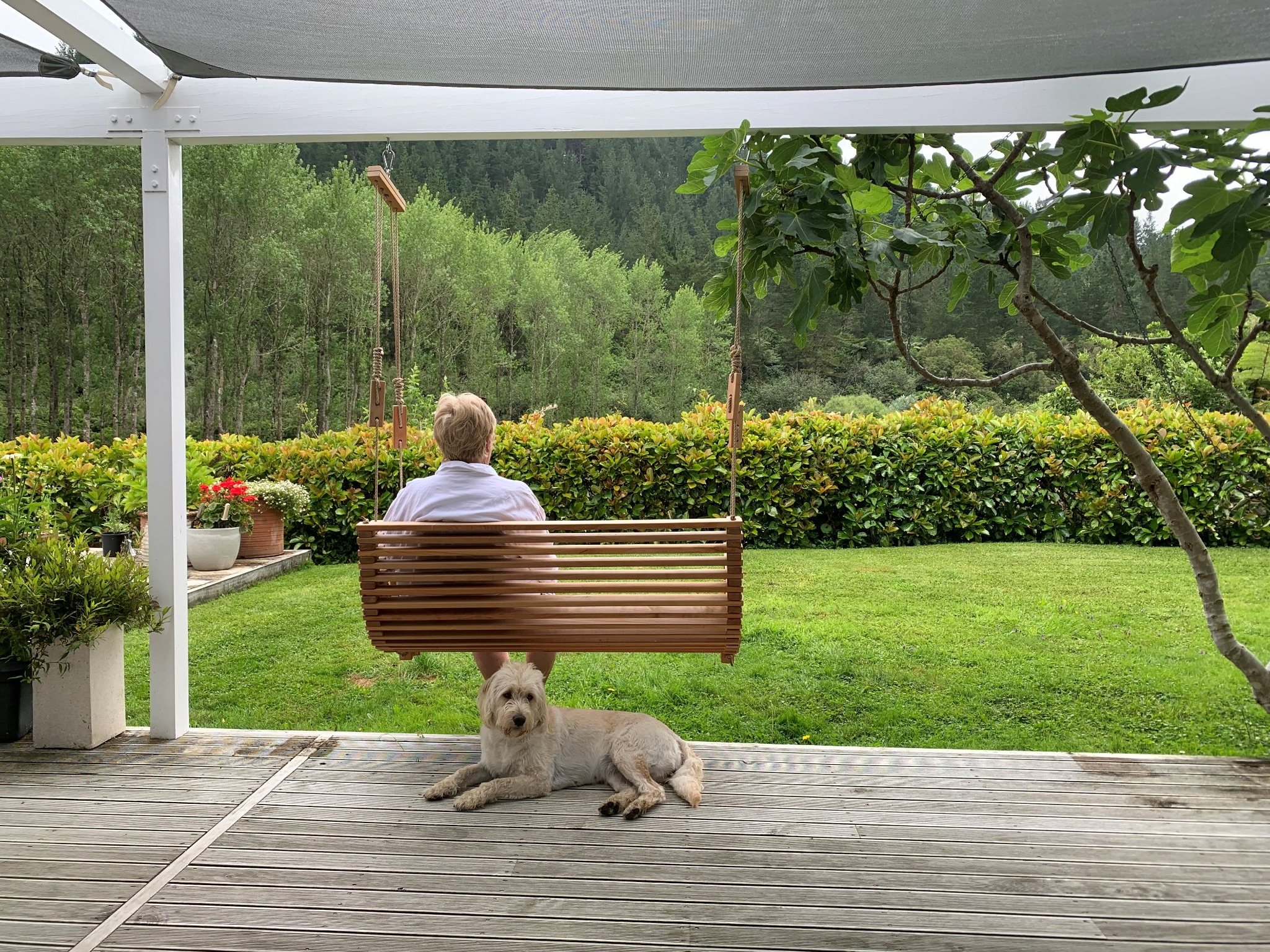Mo & Co Macrocarpa swing in a garden setting